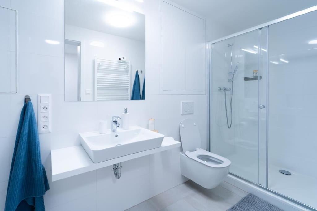 City Park Apartment - Brno Eksteriør billede